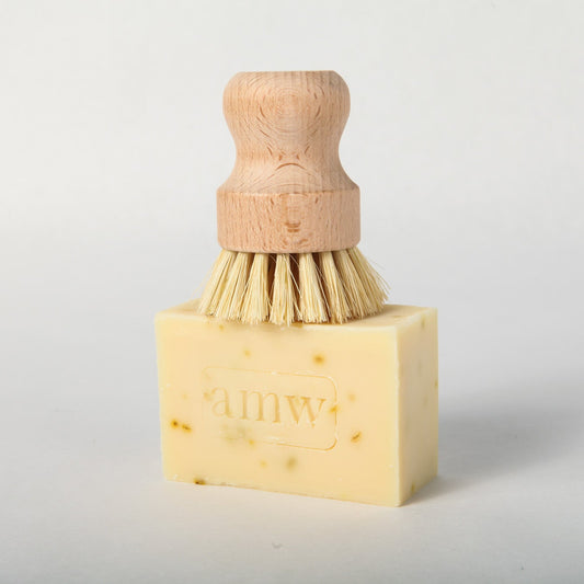 Dish soap block with brush